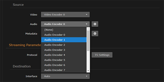 Outputs Detail View (Audio Encoder drop-down)