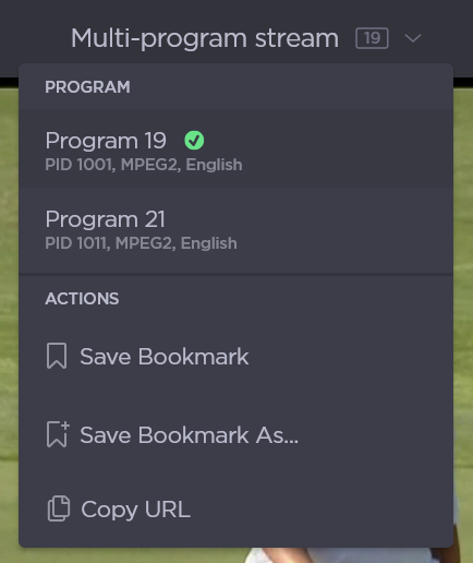 ISR_Program dropdown.png