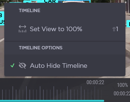 ISR_Timeline options.png