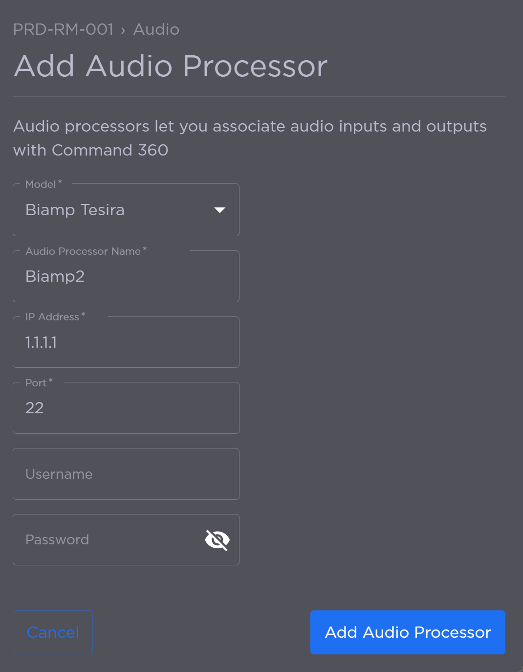 Audio Processor Details