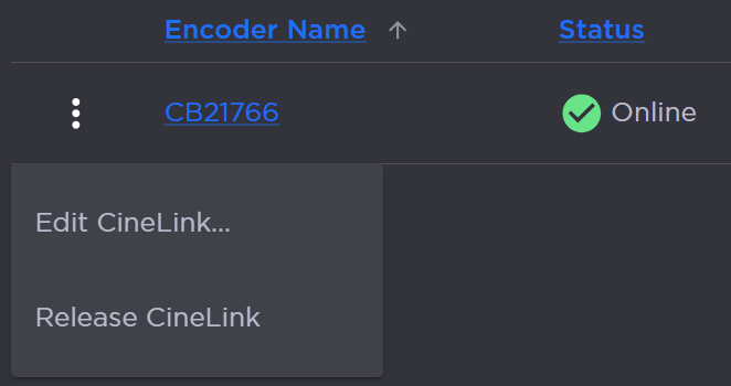 CineLink Encoder Options