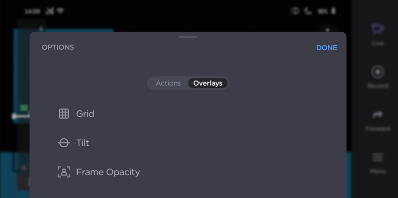 Camera Overlay Options
