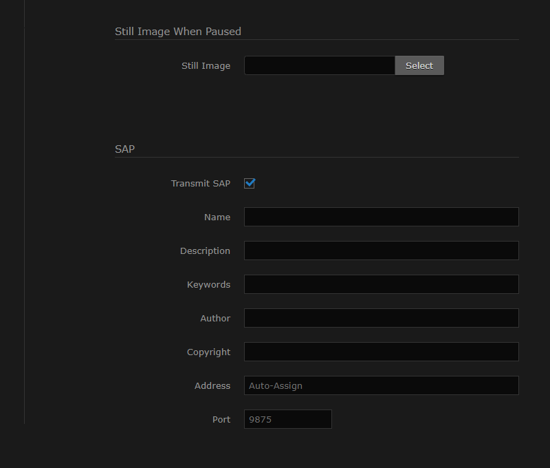 Outputs Detail View (SAP Settings)