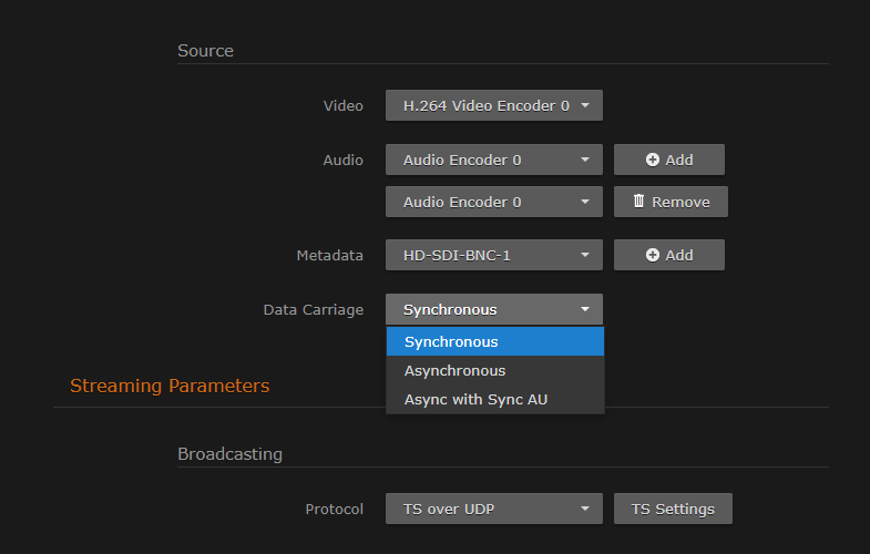 Outputs Detail View (Metadata Source drop-down)