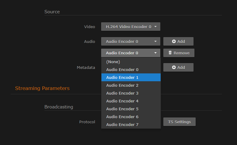 Outputs Detail View (Audio Encoder drop-down)