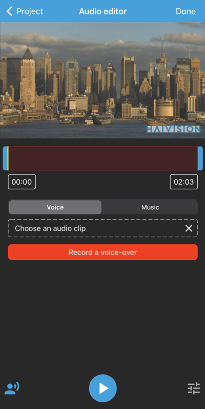 Audio Editor Voice Tab