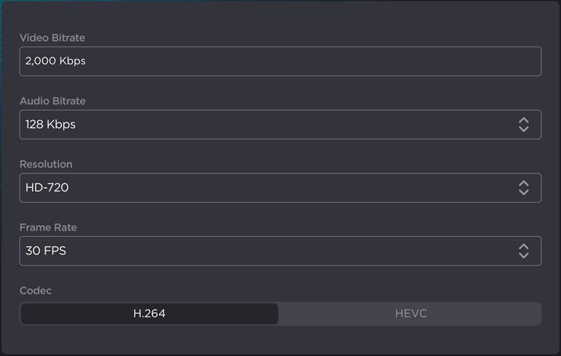 Video Capture Settings Panel