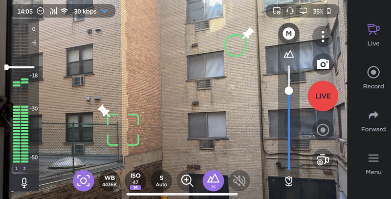 Pinned Focus and ISO Reticles