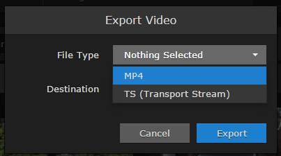 Export Video Dialog