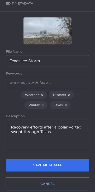 Video Metadata Fields