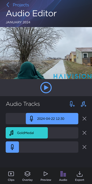 Audio Editor Screen with 3 Tracks