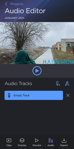 Audio Editor Screen with Empty Track