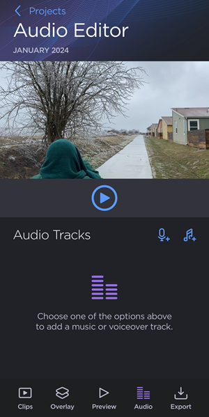 Audio Tracks Screen with no tracks