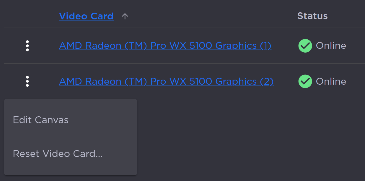 Video Card Options
