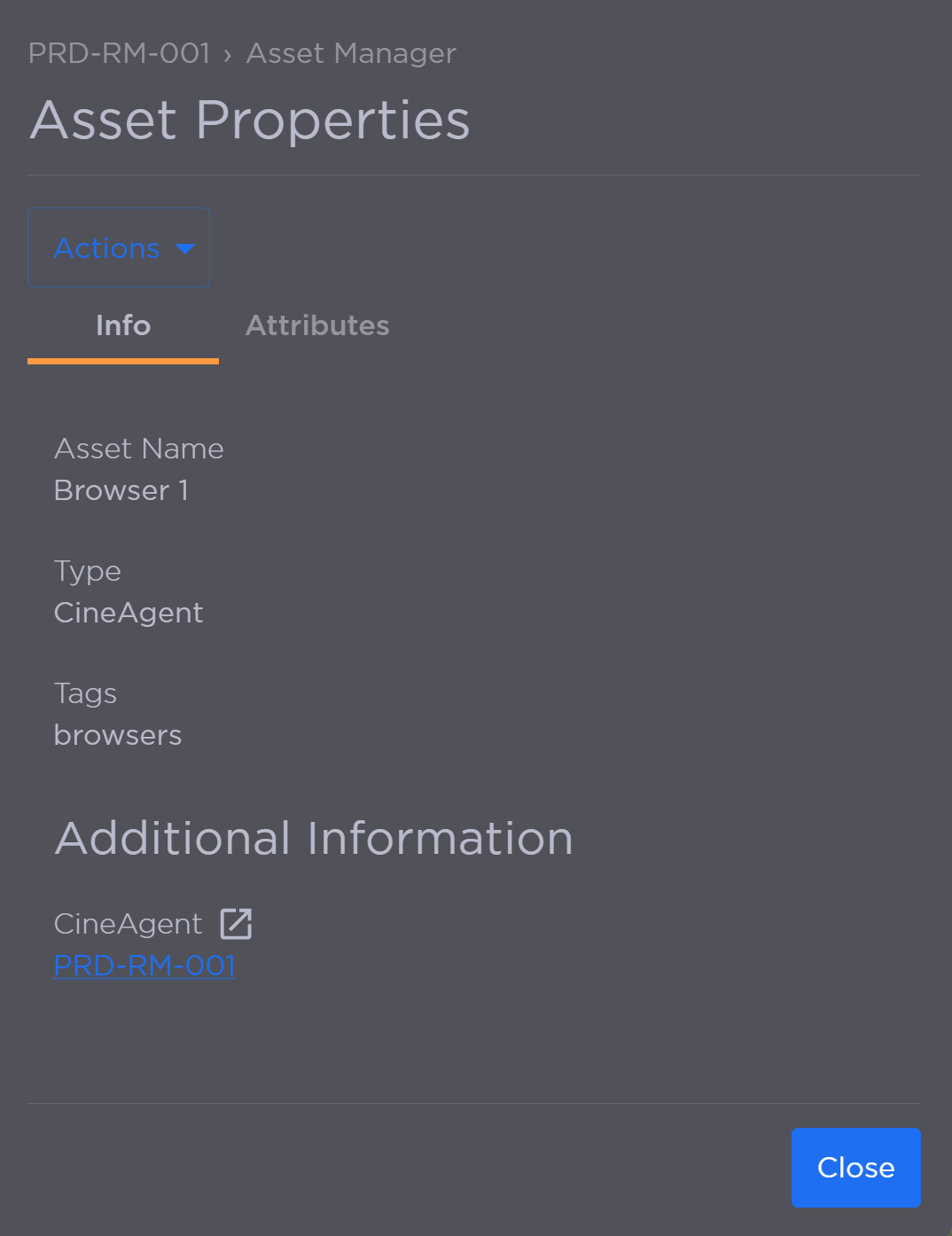 Asset Info Tab