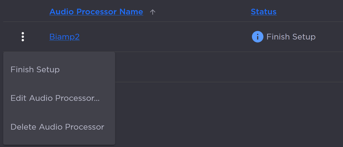Audio Processor Options